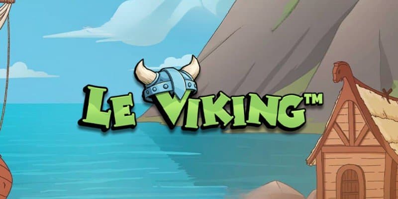machine a sous Le Viking