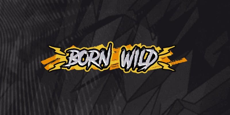 machine a sous Born Wild