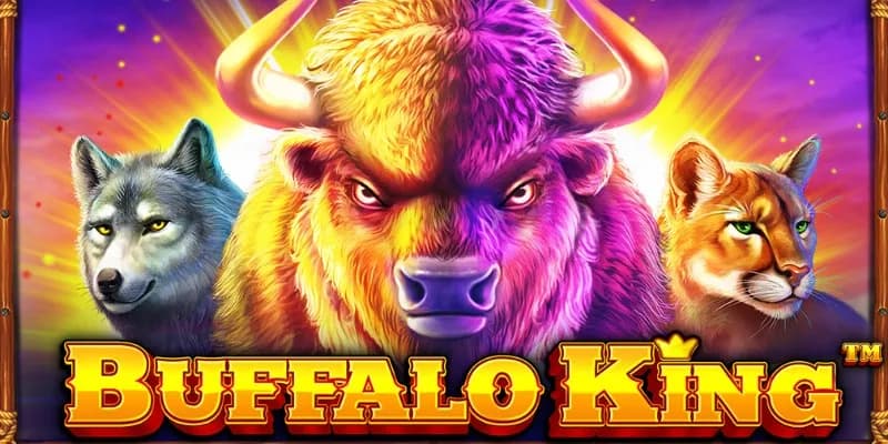Buffalo King