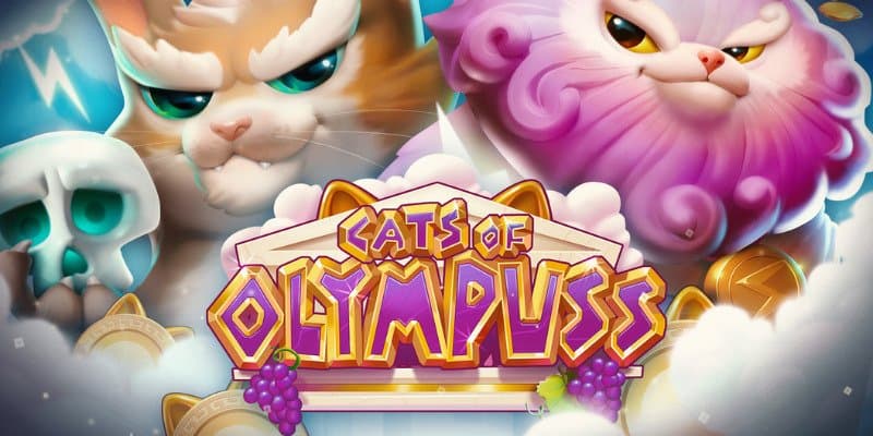 machine a sous Cats of Olympuss