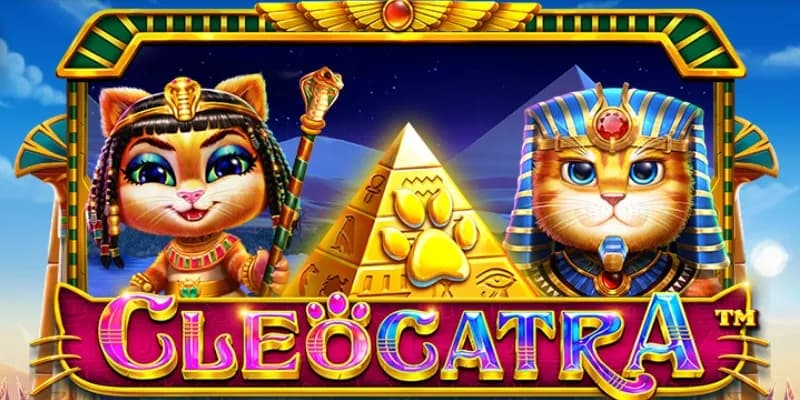 machine a sous Cleocatra