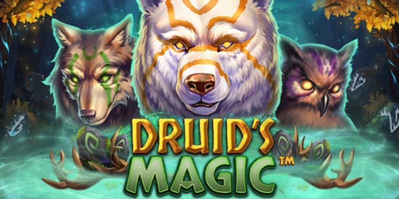 machine a sous Druid's Magic