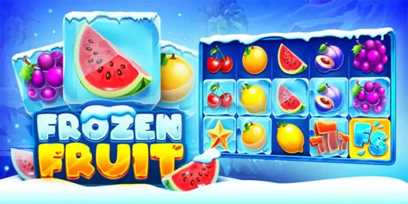 machine a sous Frozen Fruit