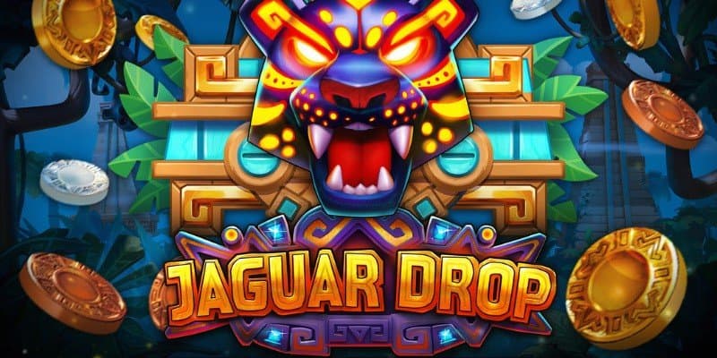 machine a sous Jaguar Drop