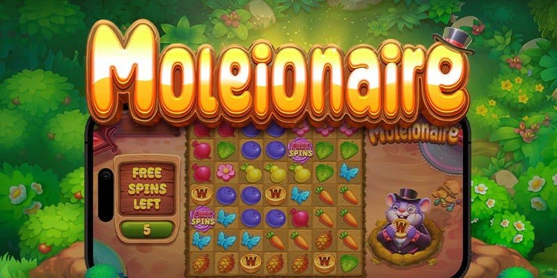 machine a sous Moleionaire