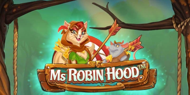 machine a sous Ms Robin Hood