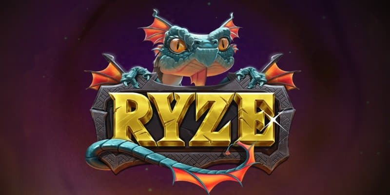 machine a sous Ryze