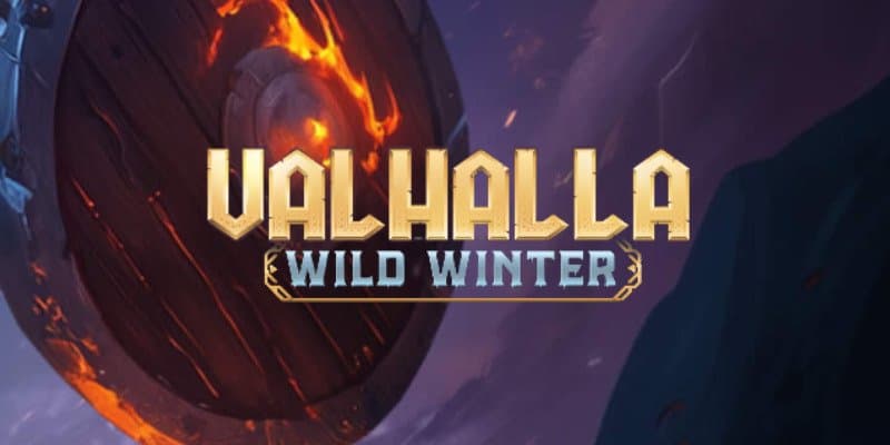 machine a sous Valhalla Wild Winter
