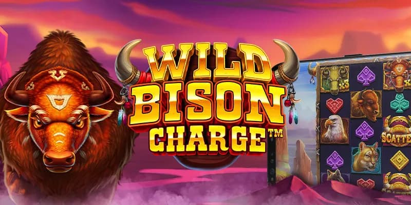 Wild Bison Charge
