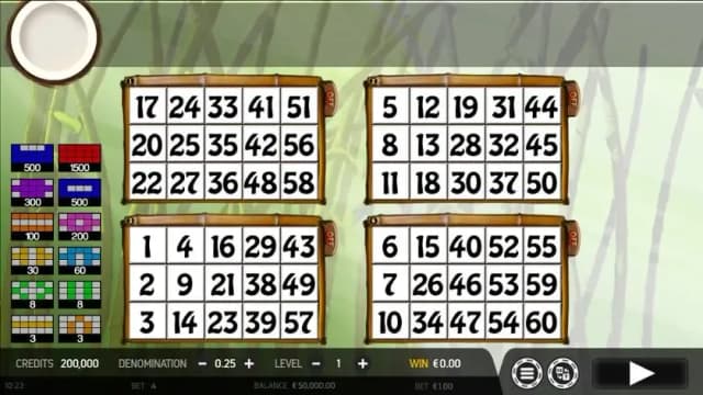 Big-Bod Bingo