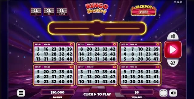 Bingo Destiny