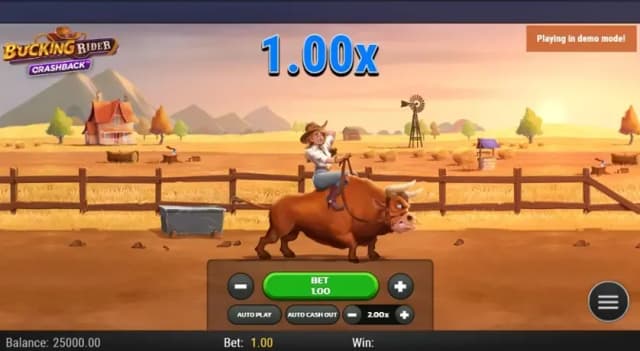 Bucking Rider
