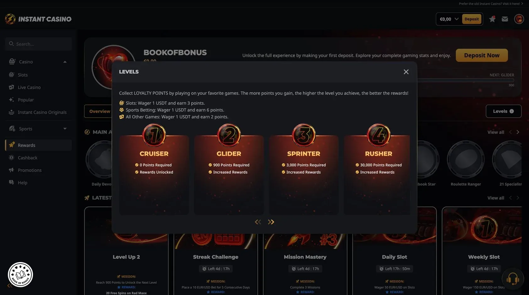 vip program