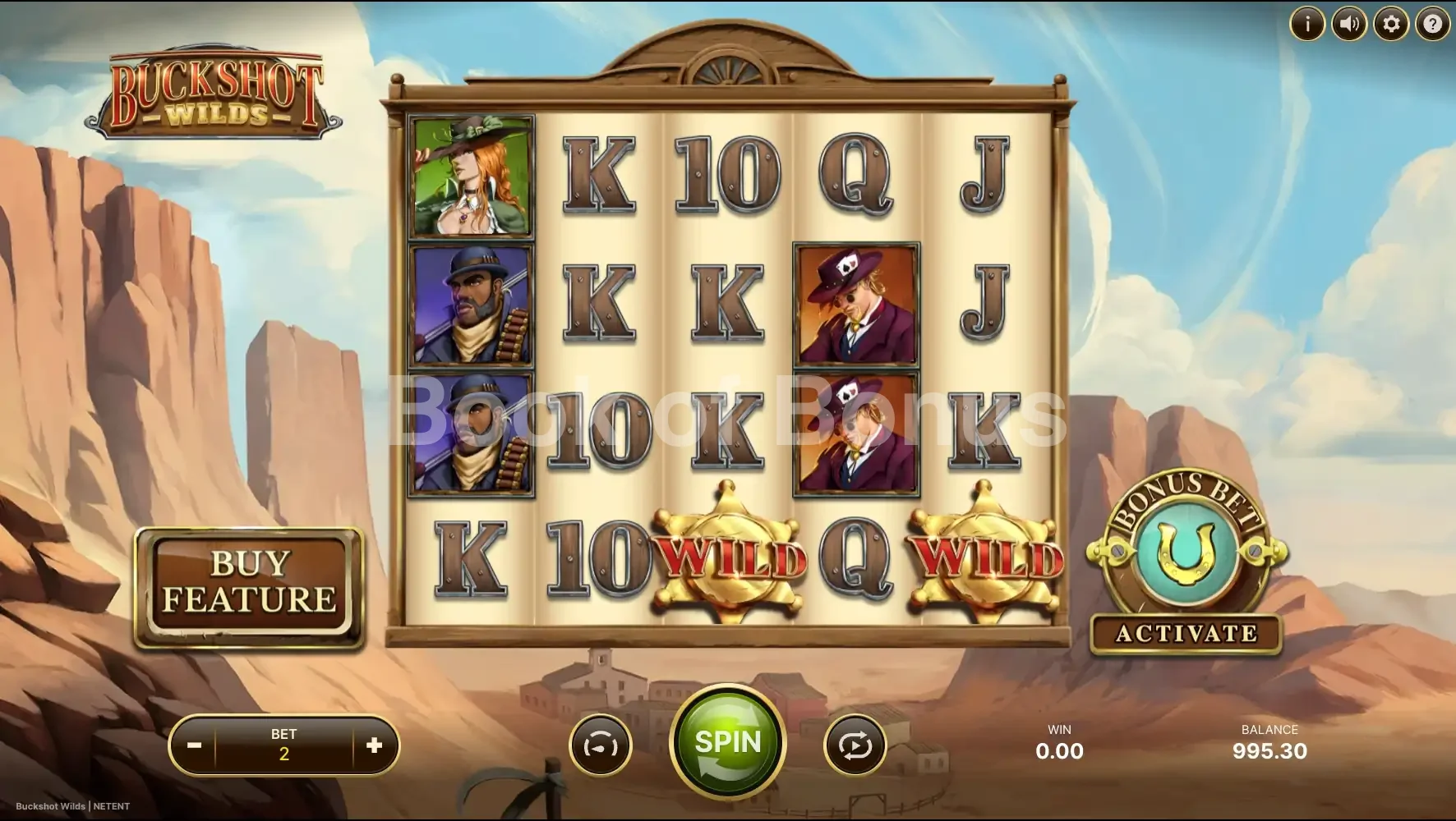 Jeu de base Buckshot Wilds