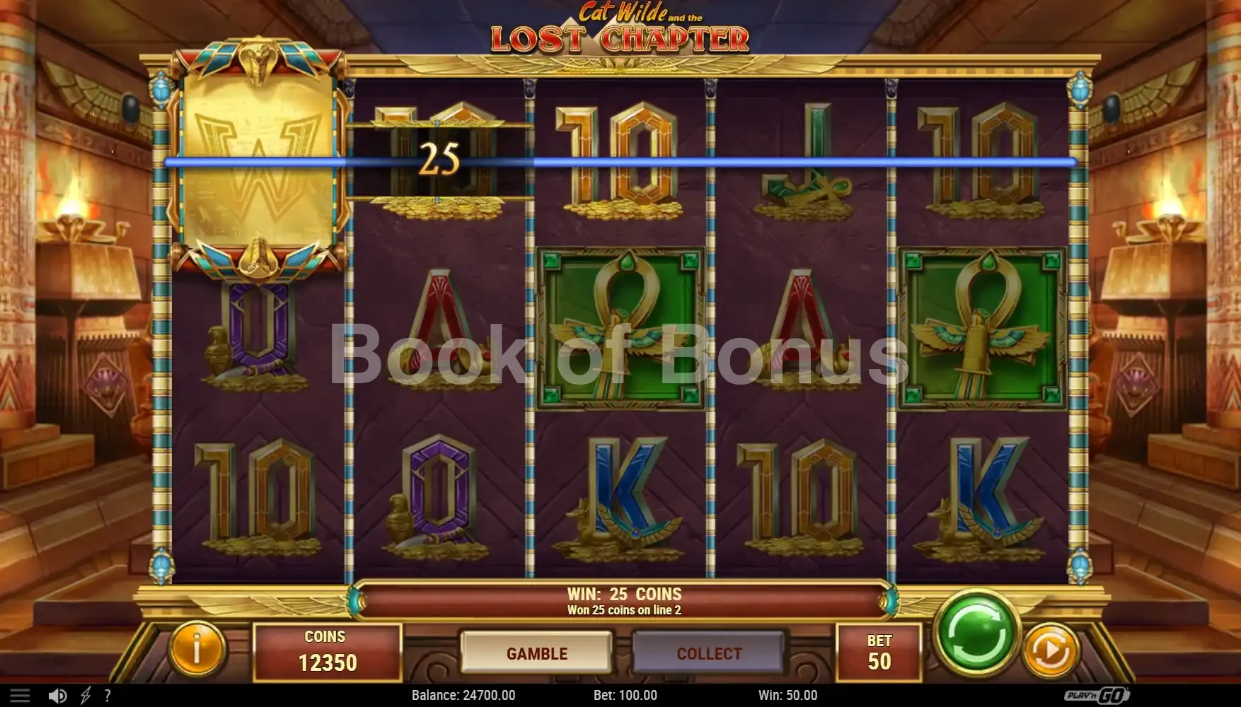 Cat Wilde and the Lost Chapter par Play'n GO - spin result