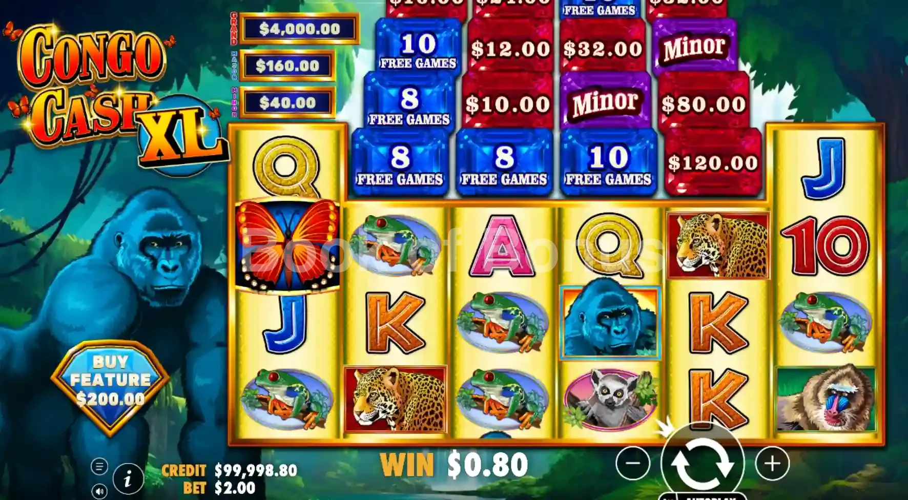 Jeu de base Congo Cash XL
