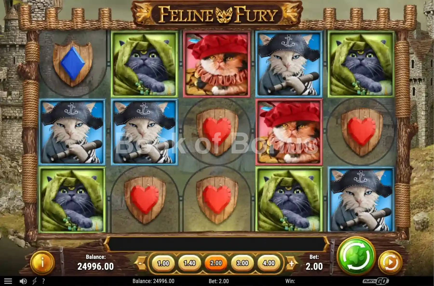 Rouleaux en action Feline Fury