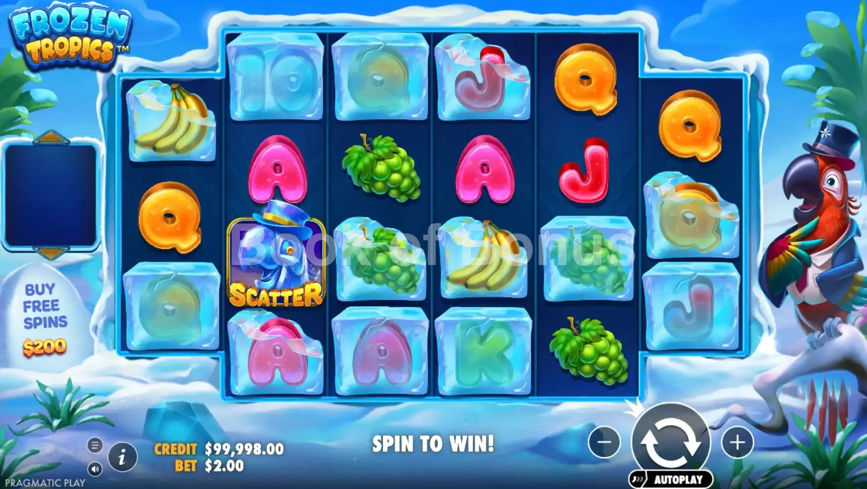 Jeu de base Frozen Tropics