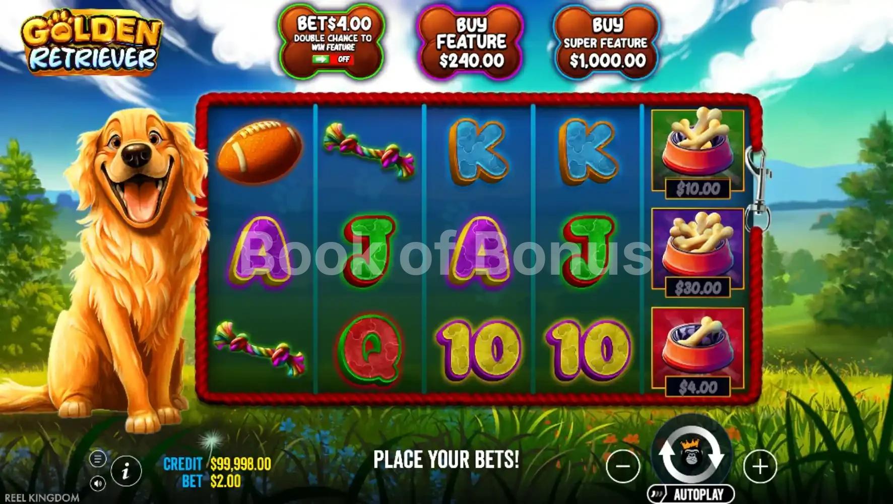 Jeu de base Golden Retriever