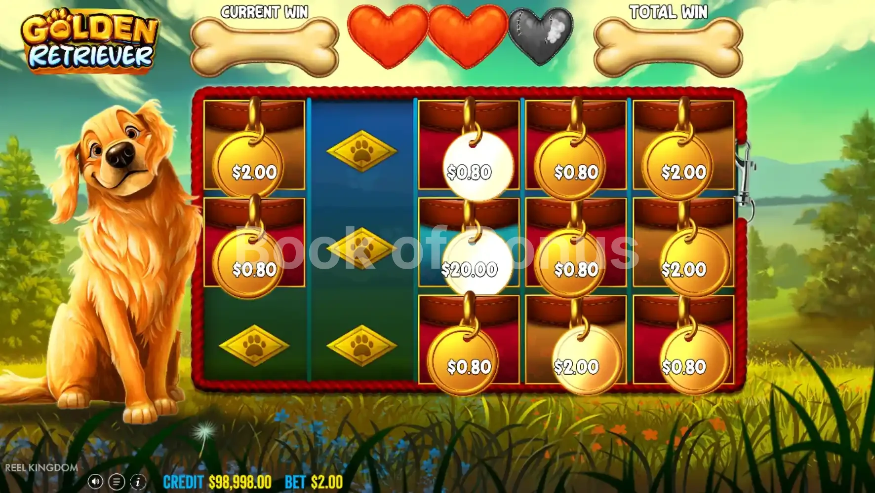 Tours gratuits Golden Retriever