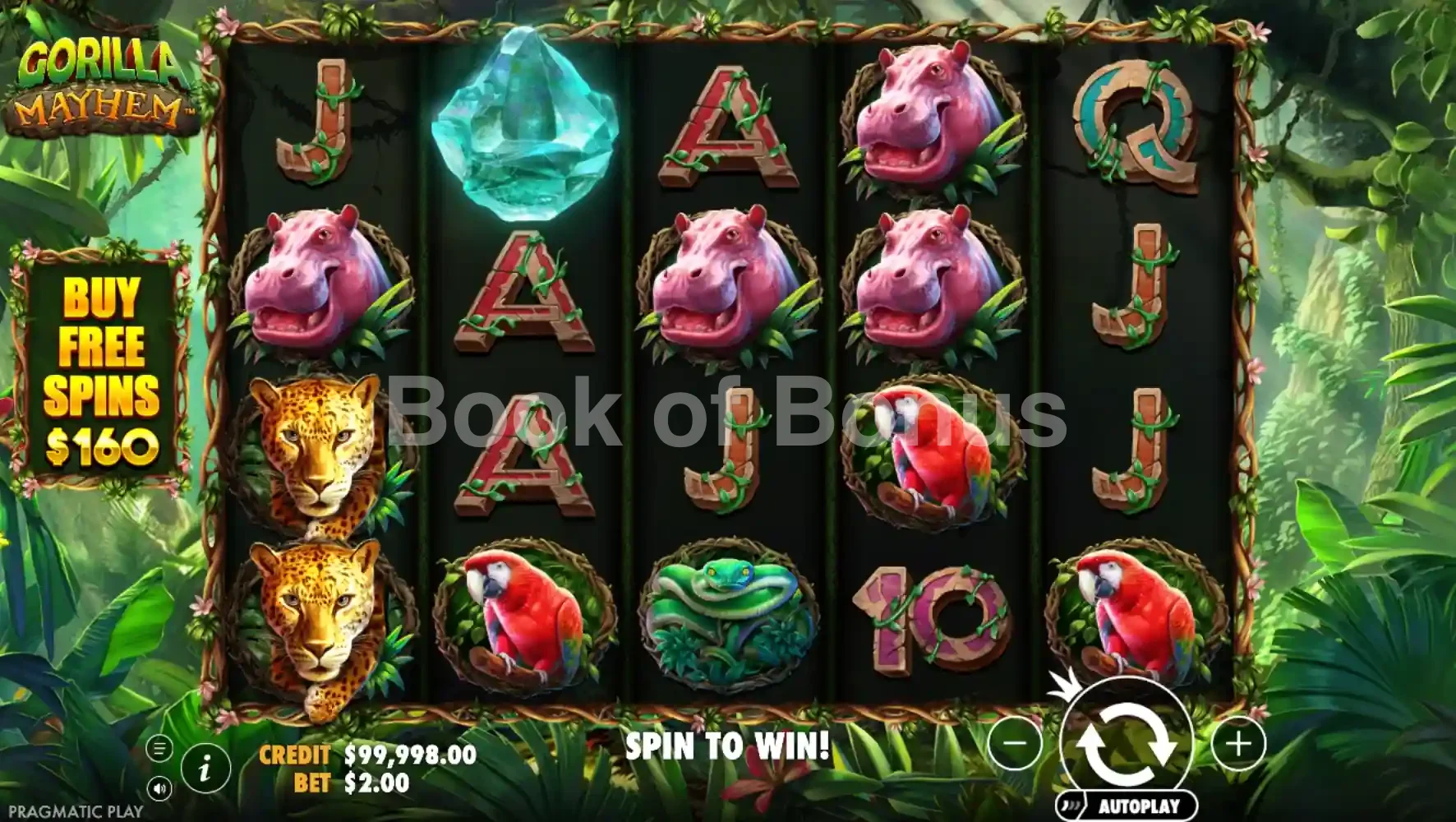 Jeu de base Gorilla Mayhem
