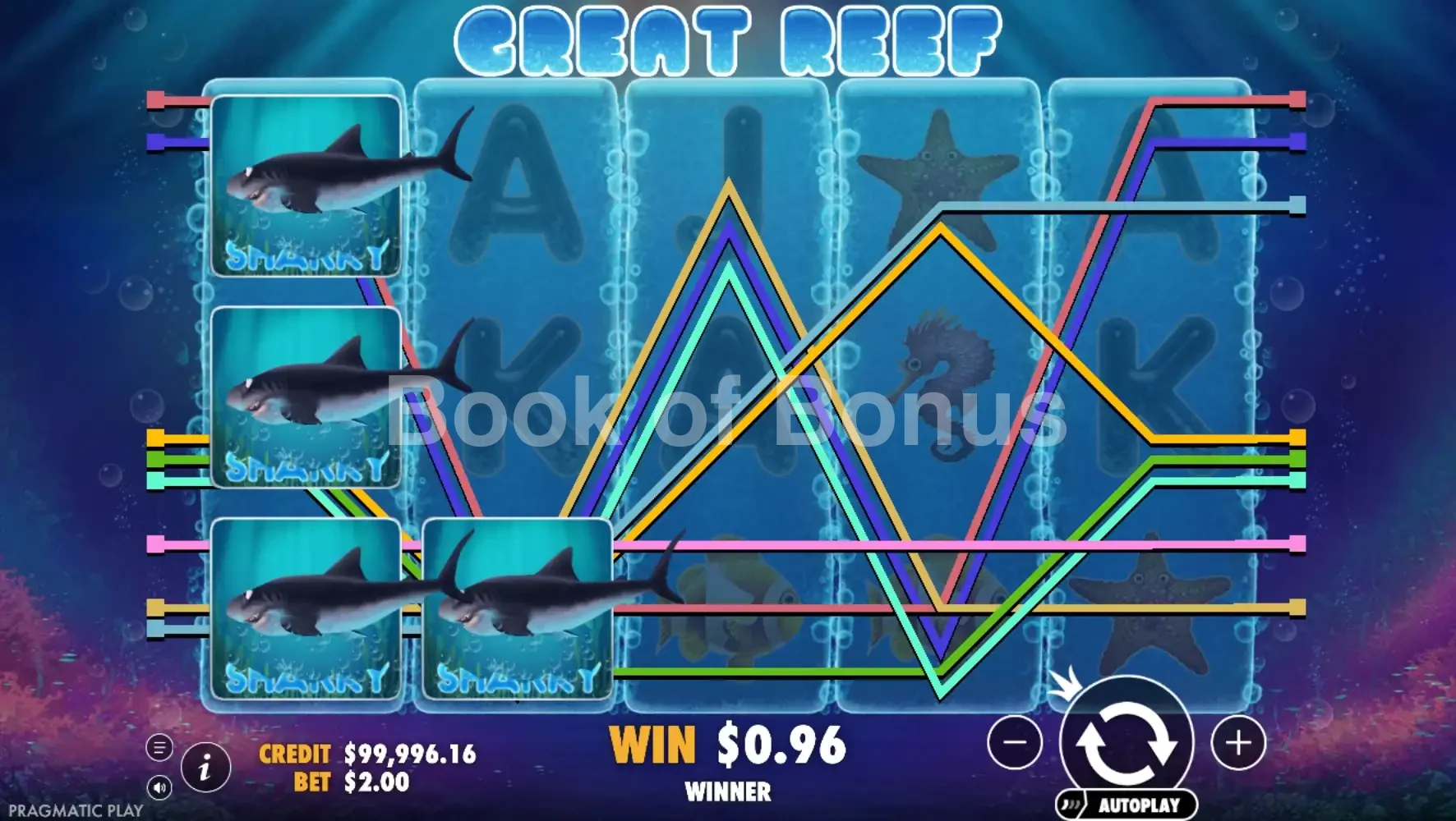 Rouleaux en action Great Reef