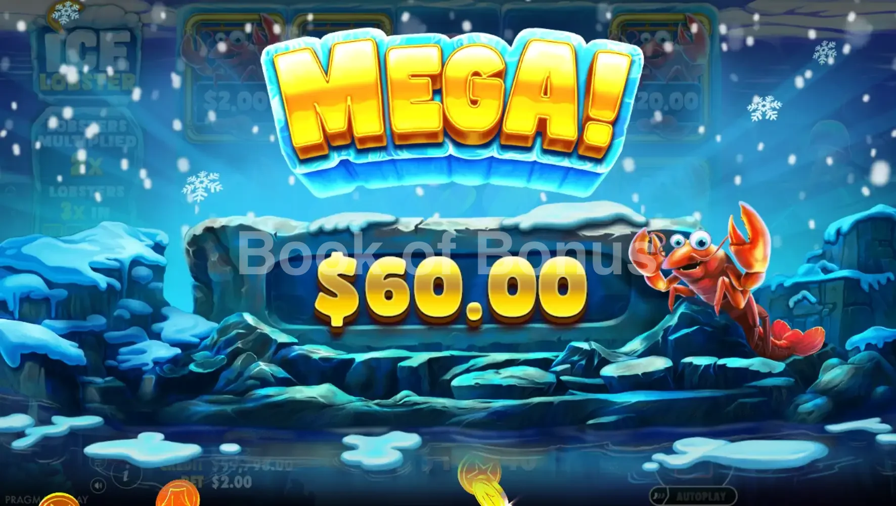 Gros gain Ice Lobster