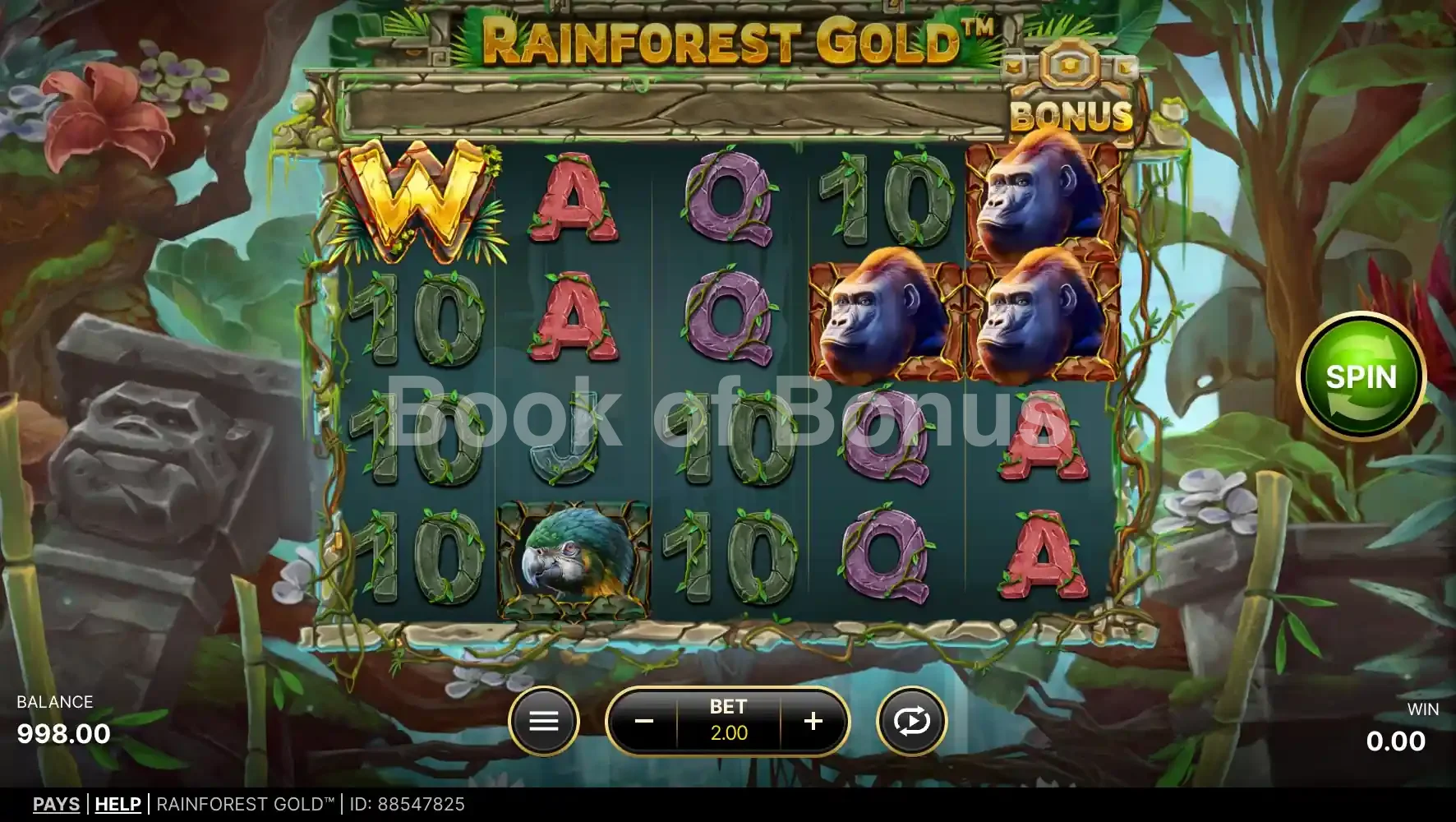 Rouleaux en action Rainforest Gold