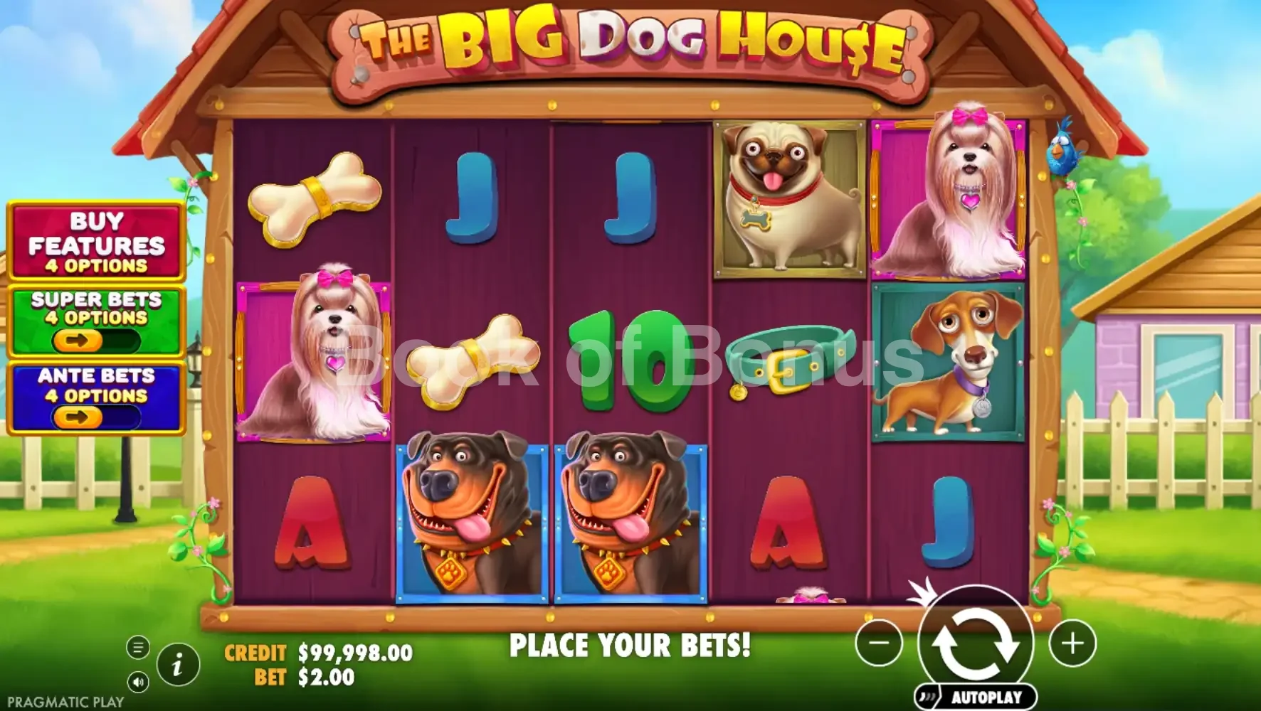 Jeu de base The Big Dog House