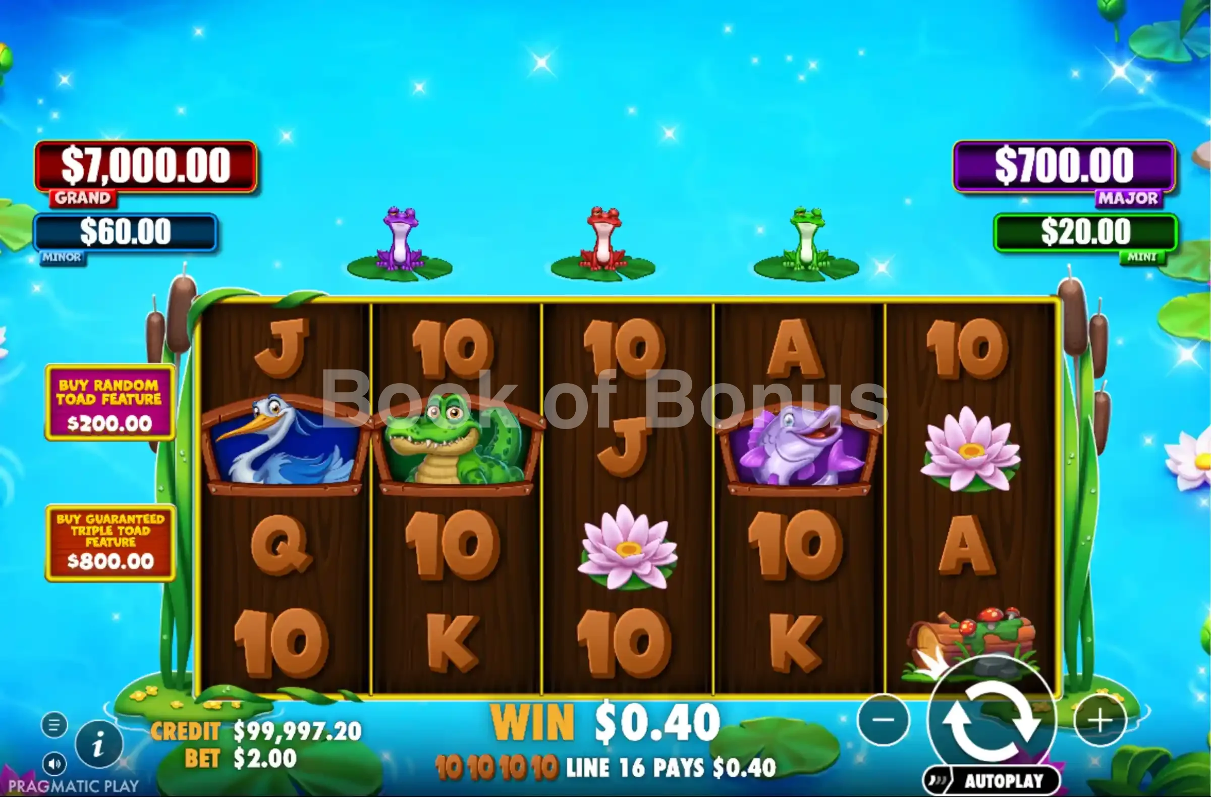 Jeu de base Tiny Toads