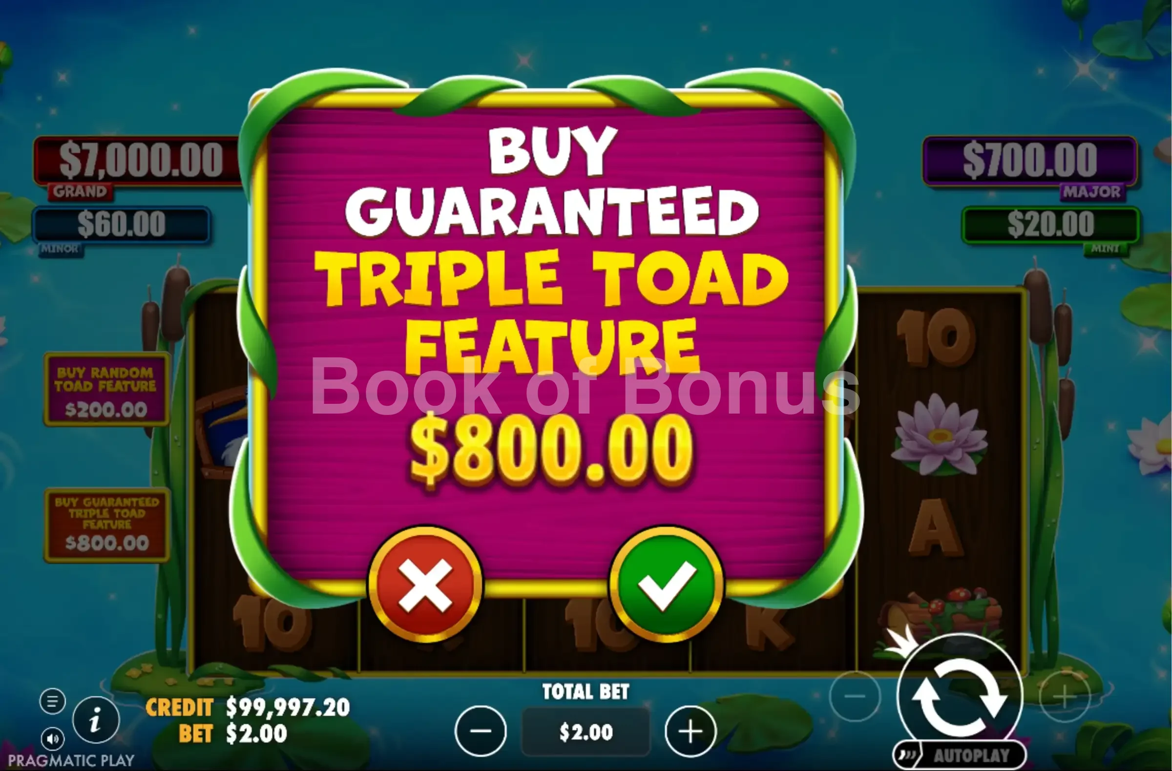 Achat de bonus Tiny Toads