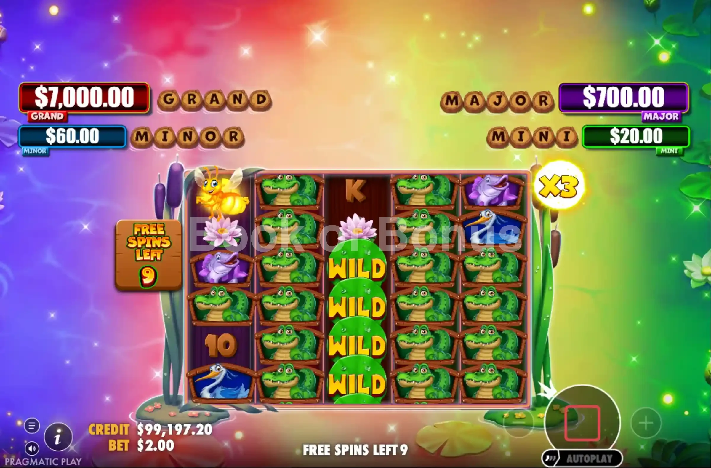 Tours gratuits Tiny Toads