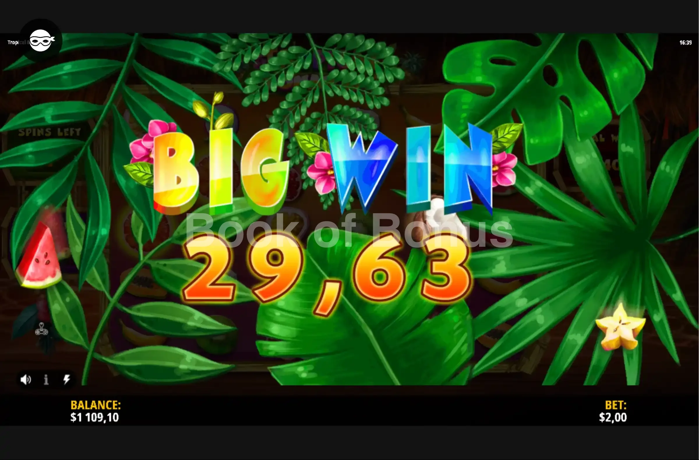 Tropical Bonanza par iSoftBet - gros gain
