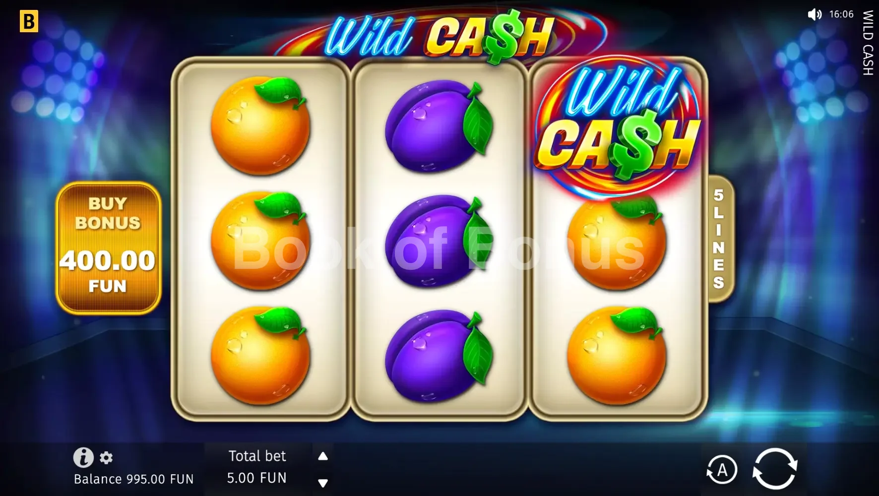 Wild Cash par BGaming - jeu de base et disposition des rouleaux