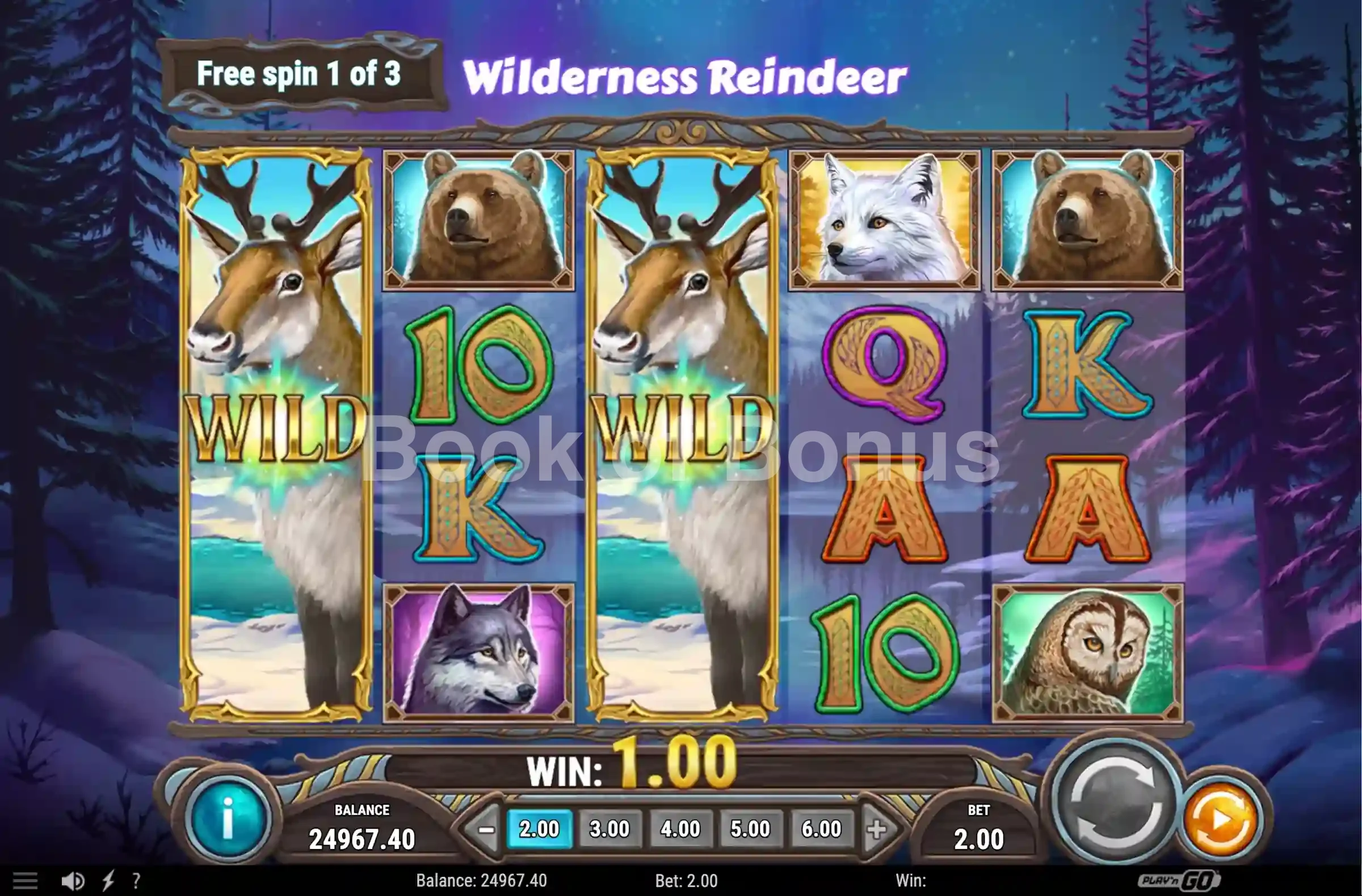 Tours gratuits Wild North Radiant Skies